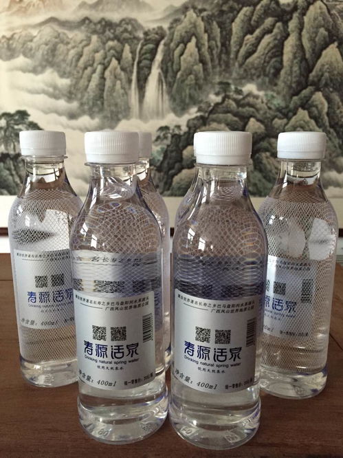 廣西鳳山榮事達(dá)飲料食品有限責(zé)任公司 匠心打造健康飲品，助力地方產(chǎn)業(yè)騰飛